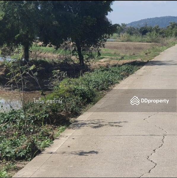 For Sale - In the fields beside the cement road. There are gravel roads in every field., Nakhon Sawan