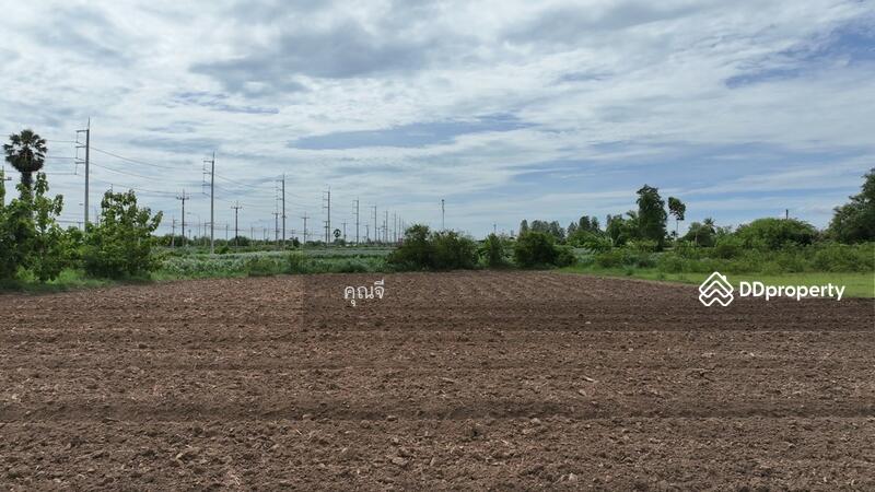 ขาย! ที่ดินพัฒนาแล้ว ติดถนนใหญ่ 346 ผังเมืองสีเขียว กำแพงแสน นครปฐม ทำเลดีมากๆ, Nakhon Pathom, ถนนใหญ่ 346, Kamphaeng Saen, Kamphaeng Saen, Nakhon Pathom, , 8,560 sqm, Land For Sale, by คุณจี, 10890979 - DDproperty.com