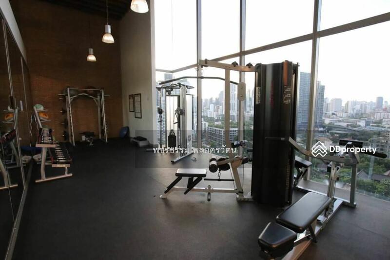 IDEO Morph 38, Bangkok, 88 Sukhumvit Road, Phra Kanong, Khlong Toei, Bangkok, 1 Bedroom, 37 sqm, Condo For Rent, by Rattapon Sivamok, 10891348 - DDproperty.com