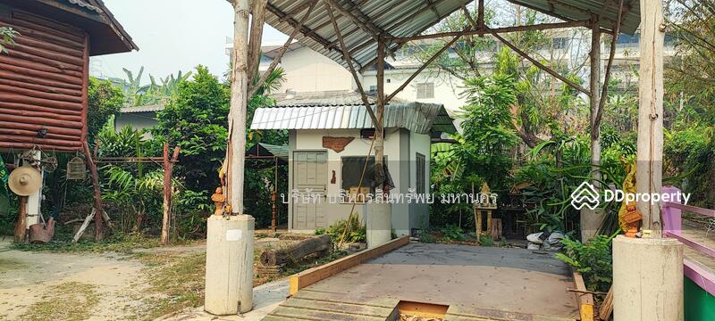 For Sale - Single House 191.5Sqw. Tha Sai (San Sai) Muang Chiang Rai., Chiang Rai