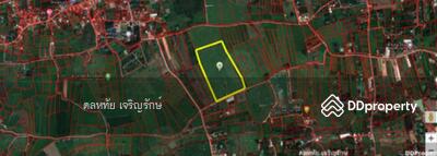 ขาย - พนัสนิคม ชุลบุรี, ชลบุรี