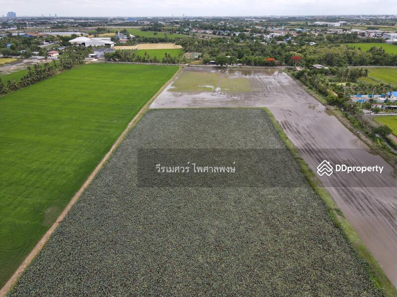 ขายที่ดิน ติดถนนตัดใหม่ 10 เลน อำเภอเมืองปทุมธานี (เหมาะทำการค้า + ปั๊มน้ำมัน + EV Station + โครงการ