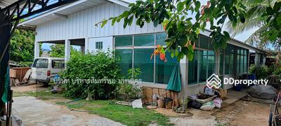 ขาย - 50140 บ้านตึกชั้นเดียว 165ตรว. อ.สารภี จ.เชียงใหม่ ต่อรองได้(P3104095), เชียงใหม่