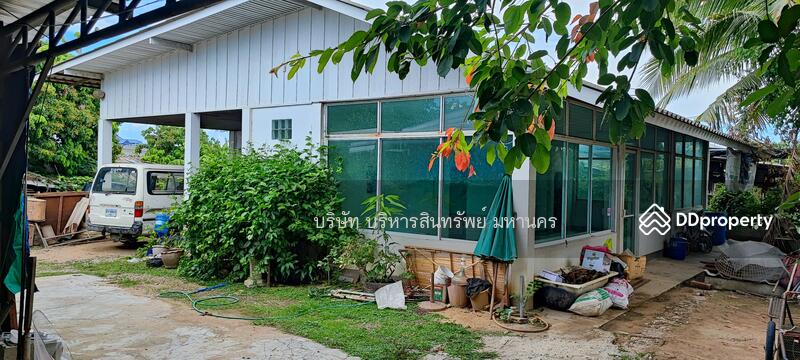 For Sale - Single House 165 Sqw. Nong Faek Saraphi Chiang Mai., Chiang Mai