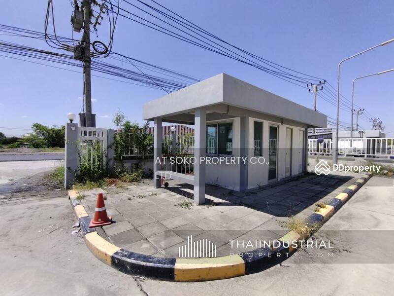 โกดังให้เช่า โรงงานให้เช่า 3393 ตรม บางโฉลง, บางพลี, สมุทรปราการ (หมายเลขประกาศ: AT1039R), สมุทรปราการ, บางโฉลง, บางพลี, สมุทรปราการ, 3,393 ตร.ม., โกดัง-โรงงาน ให้เช่า, โดย AT SOKO PROPERTY CO., LTD, 10895056 - DDproperty.com