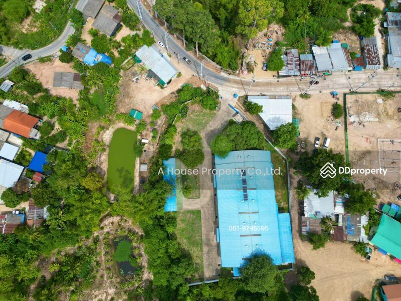 ขายที่ดินพร้อมโรงงาน หนองปลาไหล บางละมุง ชลบุรี, Chon Buri (Pattaya), Nong Pla Lai, Bang Lamung (Pattaya), Chon Buri (Pattaya), , 4,800 sqm, Land For Sale, by A House Property Co.,Ltd., 10896046 - DDproperty.com