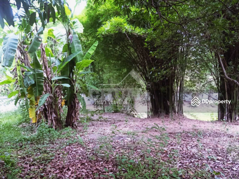 For Sale - House with Land, Dong Mun Lek, Mueang Phetchabun, Phetchabun