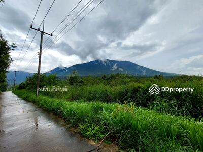 ขาย - ที่ดินมีโฉนด ที่ดินจันทบุรี โป่งน้ำร้อน สอยดาว 83 ไร่ 265.6 ตารางวา, จันทบุรี
