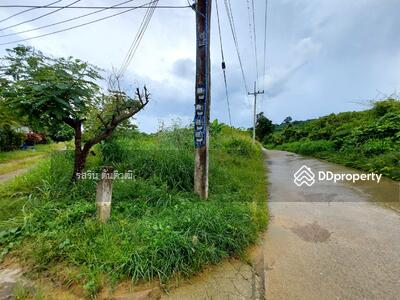 ขาย - ที่ดินมีโฉนด ที่ดินจันทบุรี โป่งน้ำร้อน สอยดาว 83 ไร่ 265.6 ตารางวา, จันทบุรี