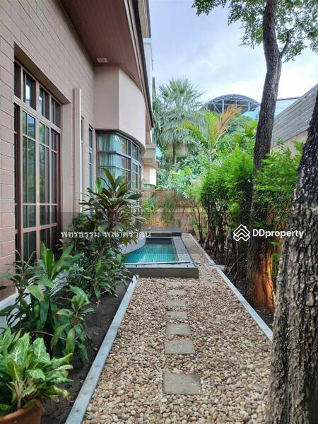 Baan Sansiri Sukhumvit 67, Bangkok, 32 Soi Sukhumvit 67, Phra Kanong Nua, Watthana, Bangkok, 4 Bedrooms, 450 sqm, Single Detached House For Rent, by พชรธรรม์ พลอัครวัตน์, 10900090 - DDproperty.com