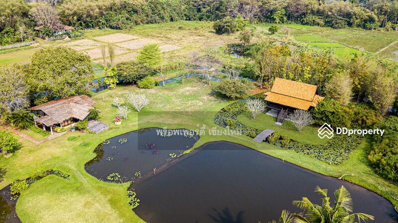 ขายอสังหาริมทรัพย์สุดหรู บนที่ดิน 24 ไร่ 3งาน ลวงเหนือ, ดอยสะเก็ด, เชียงใหม่, ลวงเหนือ, ดอยสะเก็ด, เชียงใหม่, 1,000 ตร.ม., บ้านเดี่ยว ขาย, โดย เอลียาห์ ริดจ์ลี่ย์, 10902358 - DDproperty.com