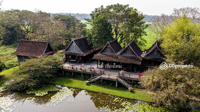 Amazing 24plus Rai Northern Thai Luxury Sanctuary Property For Sale in Doi Saket, Chiang Mai, Sa Luang Nua, Doi Saket, Chiang Mai, 8 Bedrooms, 1,000 sqm, Single Detached House For Sale, by Elijah Ridgley, 10902358 - DDproperty.com