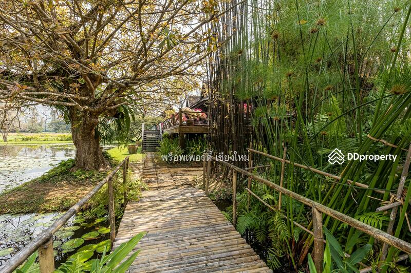 Amazing 24plus Rai Northern Thai Luxury Sanctuary Property For Sale in Doi Saket, Chiang Mai, Sa Luang Nua, Doi Saket, Chiang Mai, 8 Bedrooms, 1,000 sqm, Single Detached House For Sale, by Elijah Ridgley, 10902358 - DDproperty.com