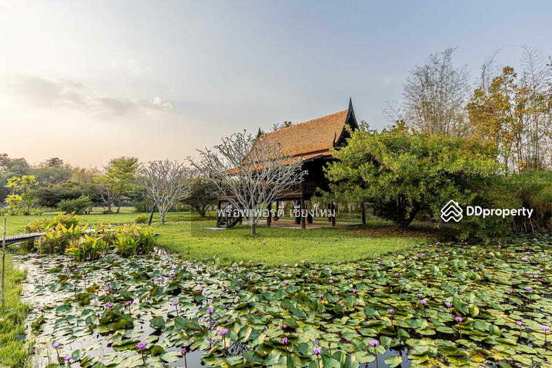 Amazing 24plus Rai Northern Thai Luxury Sanctuary Property For Sale in Doi Saket, Chiang Mai, Sa Luang Nua, Doi Saket, Chiang Mai, 8 Bedrooms, 1,000 sqm, Single Detached House For Sale, by Elijah Ridgley, 10902358 - DDproperty.com