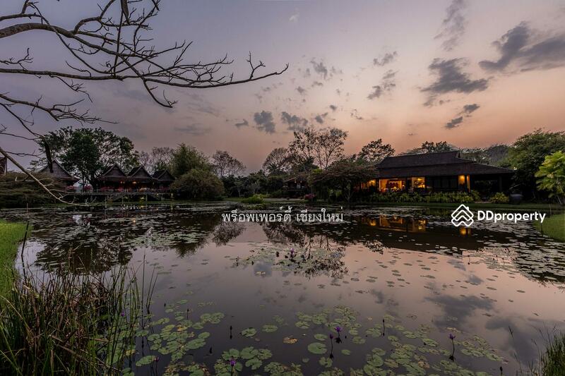 Amazing 24plus Rai Northern Thai Luxury Sanctuary Property For Sale in Doi Saket, Chiang Mai, Sa Luang Nua, Doi Saket, Chiang Mai, 8 Bedrooms, 1,000 sqm, Single Detached House For Sale, by Elijah Ridgley, 10902358 - DDproperty.com