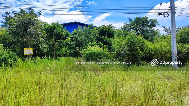 For Sale - Warehouse Lam Prada Bang Mun Nak Phichit., Phichit