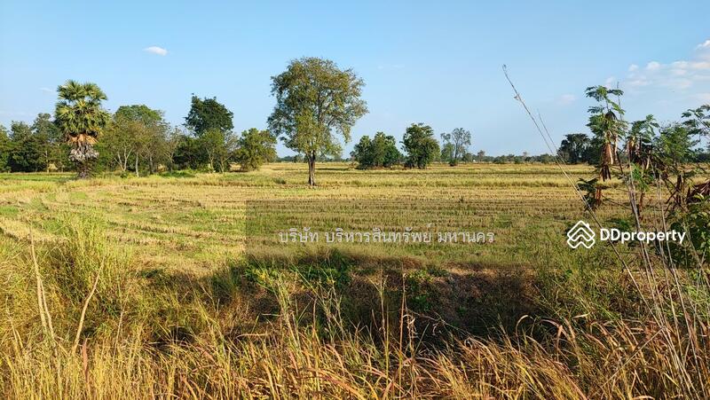 For Sale - Warehouse Lam Prada Bang Mun Nak Phichit., Phichit