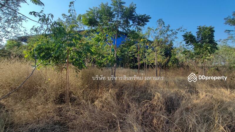 For Sale - Warehouse Lam Prada Bang Mun Nak Phichit., Phichit