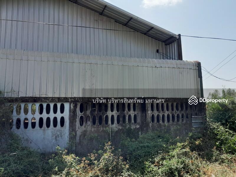 Warehouse 369 sq.w. in Phochai, Roied, Roi Et, Sa-at, Pho Chai, Roi Et, , 486 sqm, Warehouse/Factory For Sale, by Nopadon Iamimsamran, 10903657 - DDproperty.com