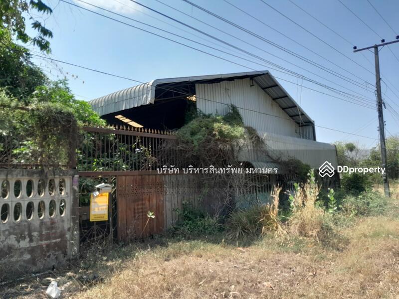Warehouse 369 sq.w. in Phochai, Roied, Roi Et, Sa-at, Pho Chai, Roi Et, , 486 sqm, Warehouse/Factory For Sale, by Nopadon Iamimsamran, 10903657 - DDproperty.com