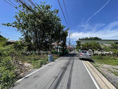 ขาย - ขายที่ดิน ซอยรังสิต-นครนายก58, ปทุมธานี