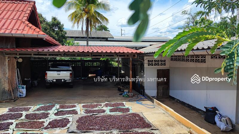 For Sale - Single House 256 Sqw. Pa Phai Li Lamphun., Lamphun
