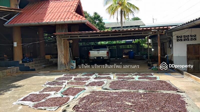 For Sale - Single House 256 Sqw. Pa Phai Li Lamphun., Lamphun