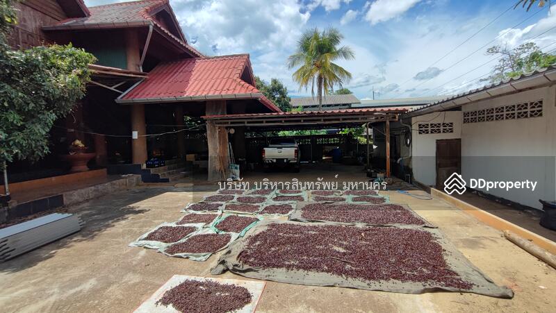 For Sale - Single House 256 Sqw. Pa Phai Li Lamphun., Lamphun