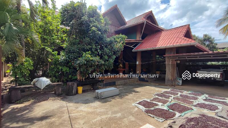 For Sale - Single House 256 Sqw. Pa Phai Li Lamphun., Lamphun