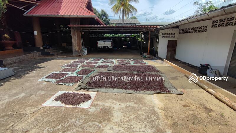 For Sale - Single House 256 Sqw. Pa Phai Li Lamphun., Lamphun