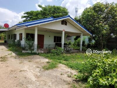 ขาย - เมืองบุรีรัมย์, บุรีรัมย์