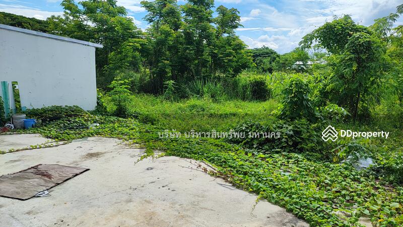 For Sale - Shophouse 26Sqw. Ton Pao San Kamphaeng Chiang Mai., Chiang Mai
