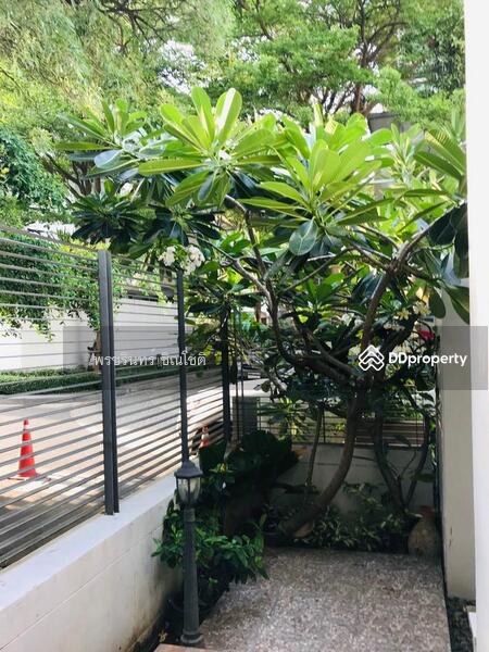 เดอะ แลนด์มาร์ค เรสซิเดนท์, กรุงเทพ, จันทรเกษม, จตุจักร, กรุงเทพ, 300 ตร.ม., ทาวน์เฮ้าส์ ให้เช่า, โดย ปรินทร์ญาดา ชิณโชติ, 10904526 - DDproperty.com