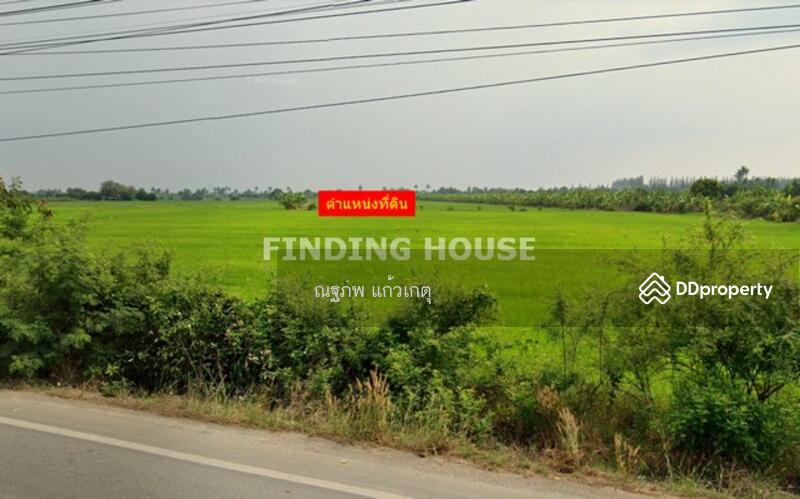 ขาย - ที่ดิน พุทธมณฑล นครปฐม, นครปฐม