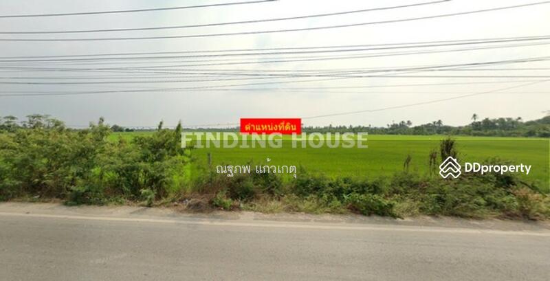 ขาย - ที่ดิน พุทธมณฑล นครปฐม, นครปฐม
