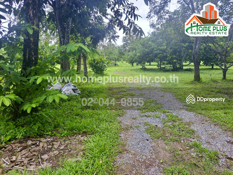 ที่ดินพร้อมบ้านเดี่ยวสวนผลไม้ ตำบลสองพี่น้อง อำเภอท่าใหม่ จันทบุรี (ใกล้วัดพิชัยพัฒนาราม), Chanthaburi, Song Phi Nong, Tha Mai, Chanthaburi, , 18,880 sqm, Land For Sale, by นก, 10906984 - DDproperty.com