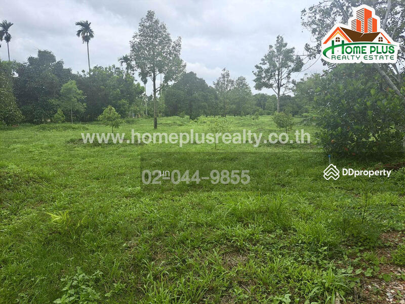 ที่ดินพร้อมบ้านเดี่ยวสวนผลไม้ ตำบลสองพี่น้อง อำเภอท่าใหม่ จันทบุรี (ใกล้วัดพิชัยพัฒนาราม), Chanthaburi, Song Phi Nong, Tha Mai, Chanthaburi, , 18,880 sqm, Land For Sale, by นก, 10906984 - DDproperty.com