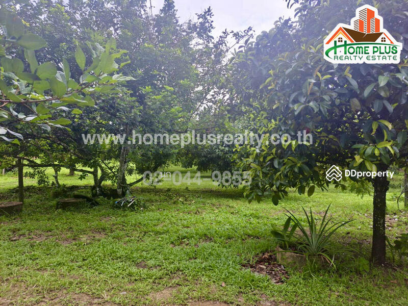 ที่ดินพร้อมบ้านเดี่ยวสวนผลไม้ ตำบลสองพี่น้อง อำเภอท่าใหม่ จันทบุรี (ใกล้วัดพิชัยพัฒนาราม), Chanthaburi, Song Phi Nong, Tha Mai, Chanthaburi, , 18,880 sqm, Land For Sale, by นก, 10906984 - DDproperty.com