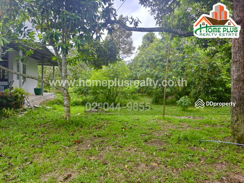 ที่ดินพร้อมบ้านเดี่ยวสวนผลไม้ ตำบลสองพี่น้อง อำเภอท่าใหม่ จันทบุรี (ใกล้วัดพิชัยพัฒนาราม), จันทบุรี, สองพี่น้อง, ท่าใหม่, จันทบุรี, 18,880 ตร.ม., ที่ดิน ขาย, โดย นก, 10906984 - DDproperty.com