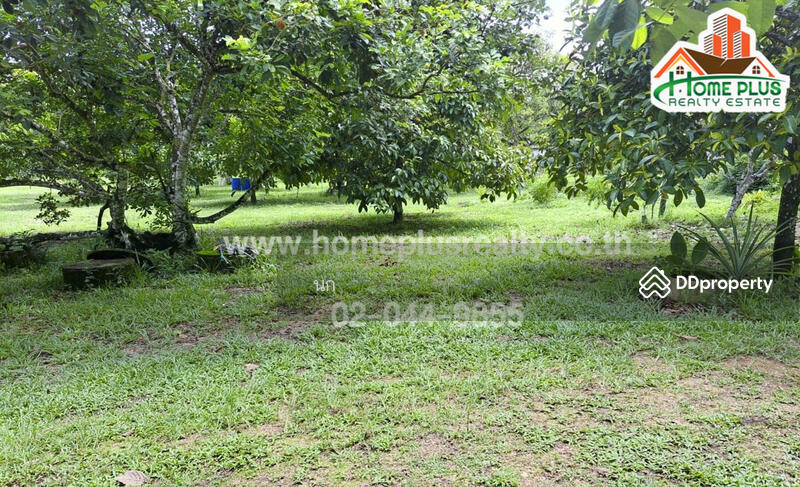 ที่ดินพร้อมบ้านเดี่ยวสวนผลไม้ ตำบลสองพี่น้อง อำเภอท่าใหม่ จันทบุรี (ใกล้วัดพิชัยพัฒนาราม), Chanthaburi, Song Phi Nong, Tha Mai, Chanthaburi, , 18,880 sqm, Land For Sale, by นก, 10906984 - DDproperty.com