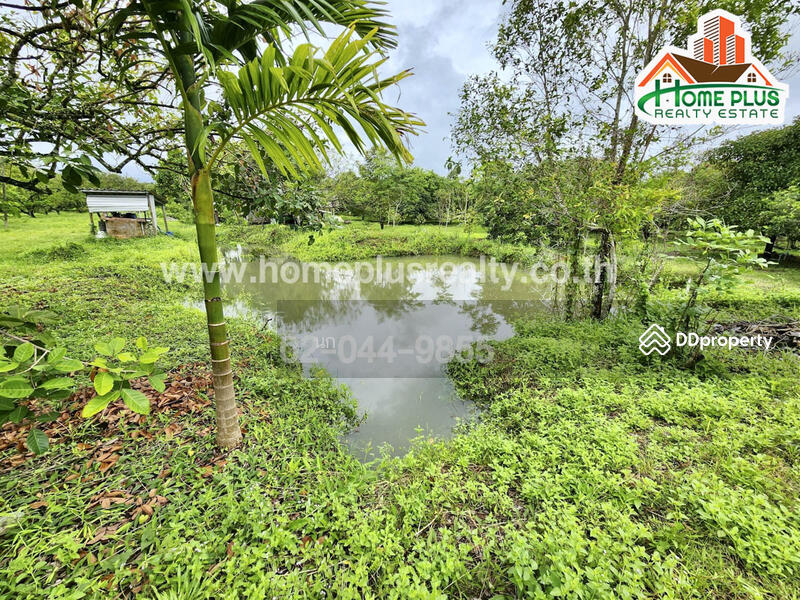 ที่ดินพร้อมบ้านเดี่ยวสวนผลไม้ ตำบลสองพี่น้อง อำเภอท่าใหม่ จันทบุรี (ใกล้วัดพิชัยพัฒนาราม), จันทบุรี, สองพี่น้อง, ท่าใหม่, จันทบุรี, 18,880 ตร.ม., ที่ดิน ขาย, โดย นก, 10906984 - DDproperty.com