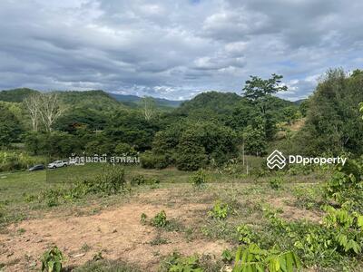 ขาย - ขายที่ดิน39 ไร่โซนน้ำพุร้อน แม่ออน สันกำแพง เชียงใหม่ เหมาะทำโครงการ เวลเนส ศูนย์สุขภาพ รีสอร์ท, เชียงใหม่