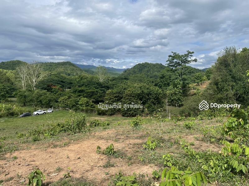 For Sale - Land vacant 39 raifor sale at Mae On Sankampaeng Chiang Mai Hot Spring zone For wellness healthcare, Chiang Mai