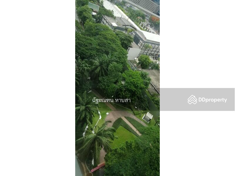 The Line Phahonyothin Park : เดอะ ไลน์ พหลโยธิน พาร์ค, กรุงเทพ, 1090 ถนนพหลโยธิน, จอมพล, จตุจักร, กรุงเทพ, 42 ตร.ม., คอนโด ให้เช่า, โดย ฉัฐมณฑน์ หาบสา, 10914385 - DDproperty.com