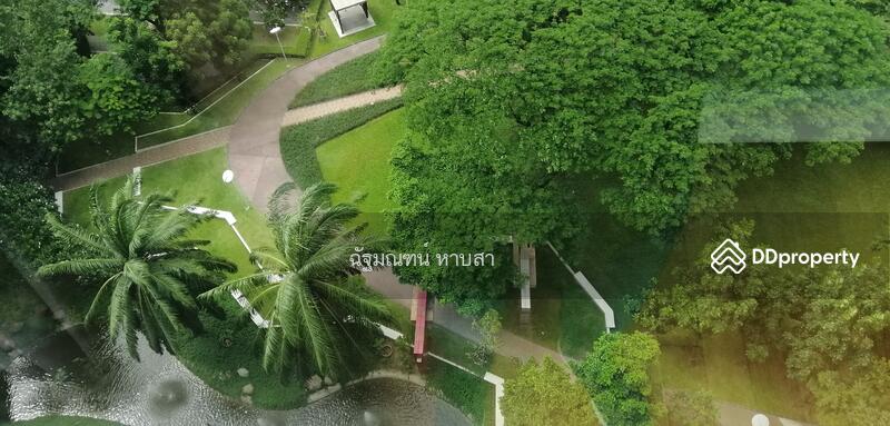 The Line Phahonyothin Park : เดอะ ไลน์ พหลโยธิน พาร์ค, กรุงเทพ, 1090 ถนนพหลโยธิน, จอมพล, จตุจักร, กรุงเทพ, 42 ตร.ม., คอนโด ให้เช่า, โดย ฉัฐมณฑน์ หาบสา, 10914385 - DDproperty.com
