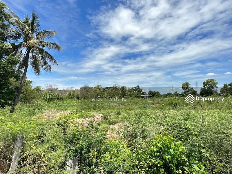 For Sale - Land for sale in Sai Noi, Nonthaburi, Khun Si, Sai 346 Road., Nonthaburi