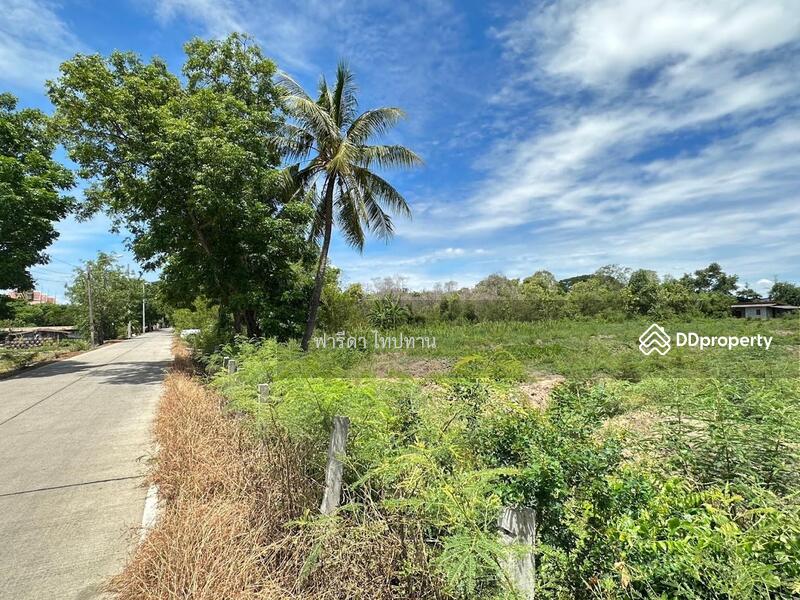 For Sale - Land for sale in Sai Noi, Nonthaburi, Khun Si, Sai 346 Road., Nonthaburi