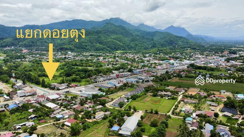 For Sale - บ้านไม้ หลังใหญ่ สไตล์ล้านนา ดอยตุง เชียงราย, Chiang Rai