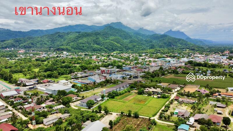 For Sale - บ้านไม้ หลังใหญ่ สไตล์ล้านนา ดอยตุง เชียงราย, Chiang Rai