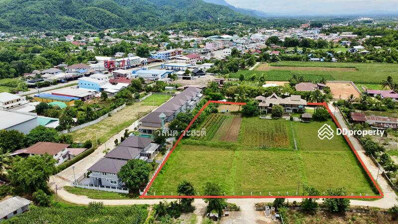 For Sale - บ้านไม้ หลังใหญ่ สไตล์ล้านนา ดอยตุง เชียงราย, Chiang Rai